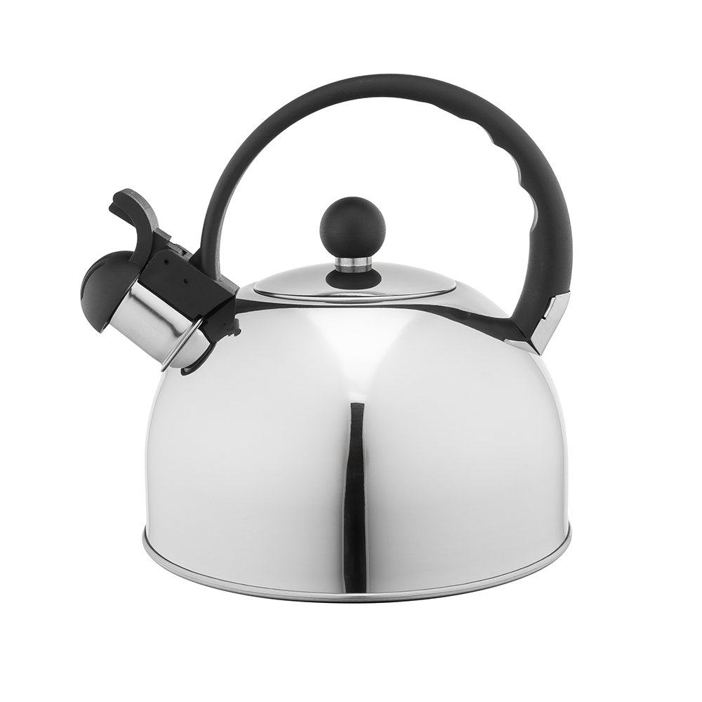 Stainless steel whistling kettle Daily mirror 2,5l.