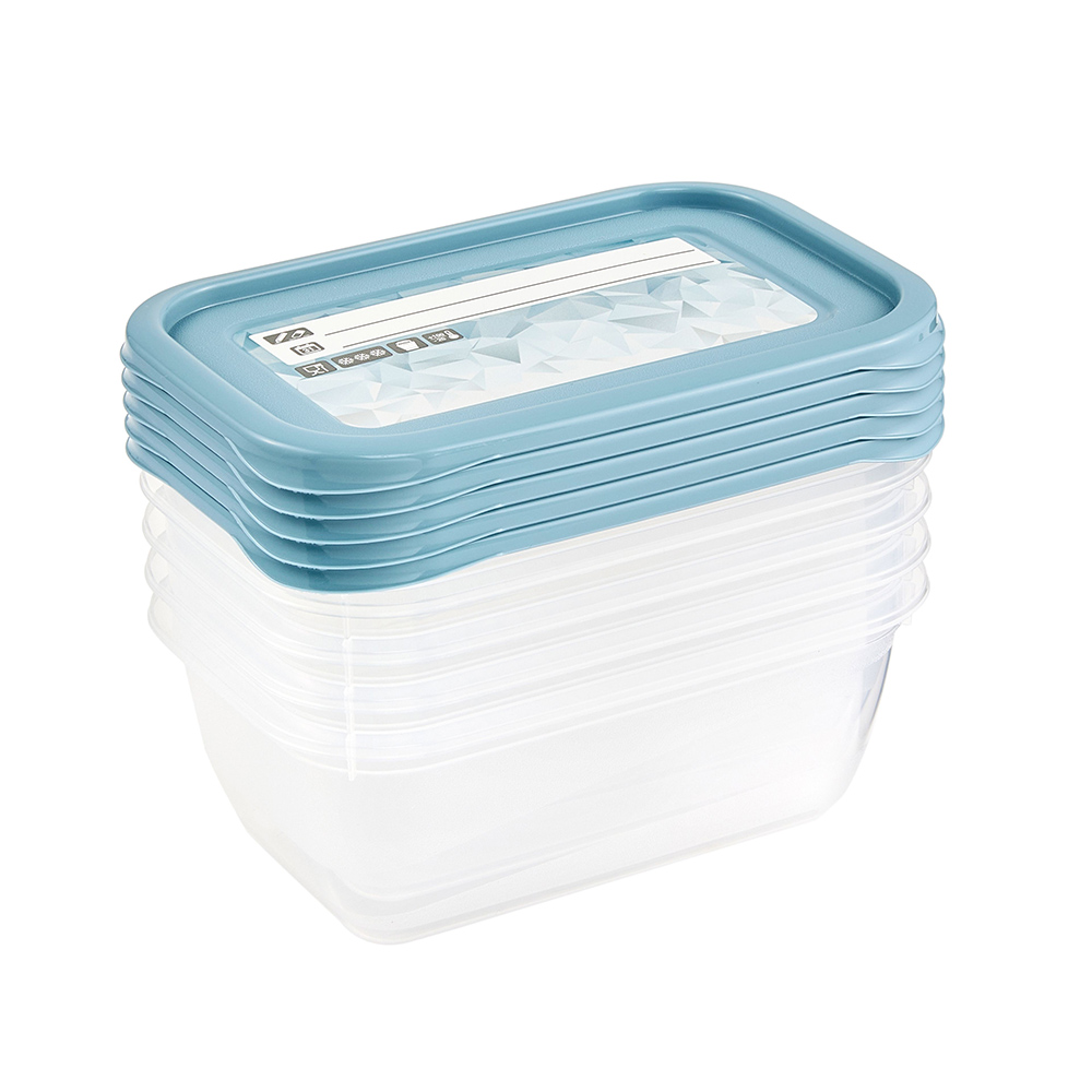 Mia magic ice set of 5 containers, 5x0.5L, with reusable label