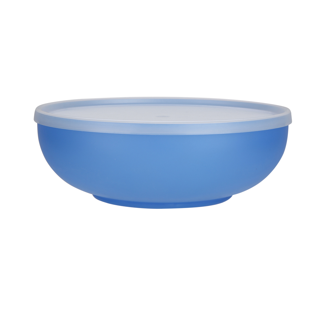 Big bowl with lid 22cm 1,85l blue (219)
