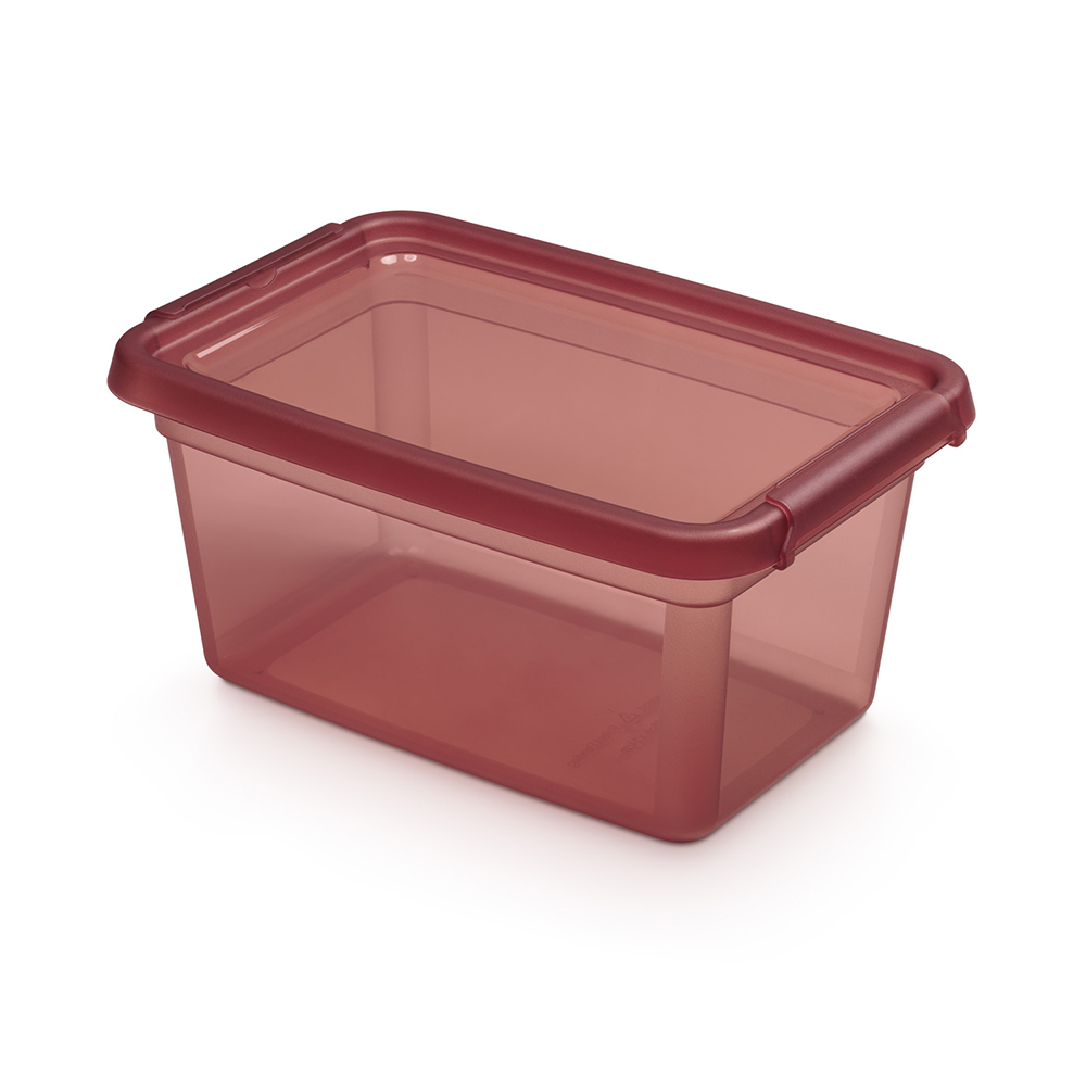 Basestore container with lid and clips, 19x28x13 cm 4,5 L rhubarb